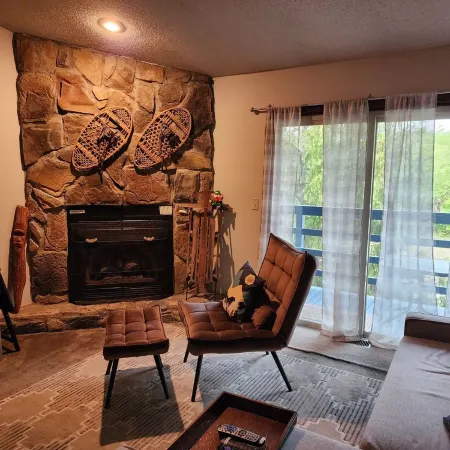Walk to Dolly Sods, Balcony Mountain View’s  + Gas Grill & Jacuzzi Tub! 3rd FL. Отели в г. Такер