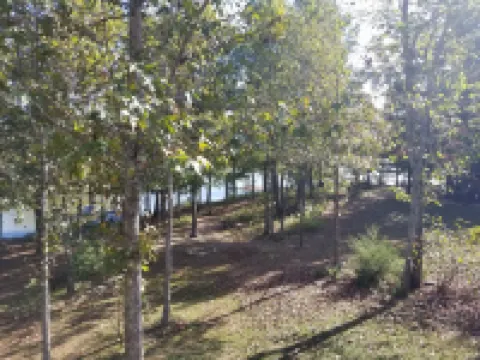 Cozy Bear Paradise  on Weiss Lake  in the foothills of the Appalachian Mountains