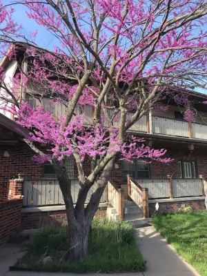 Located on a 12 acre orchard, this large upscale home features stunning views Hotels in Soldier