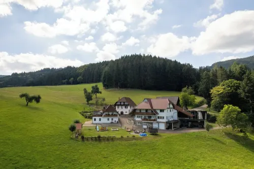 Holidays on the Oberhubhof, overlooking the valley and the playground. Hotels in Hofstetten