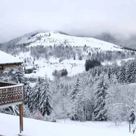 Apartment with Terrace in Chalet