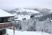 Apartment with Terrace in Chalet Hotels in Bussang