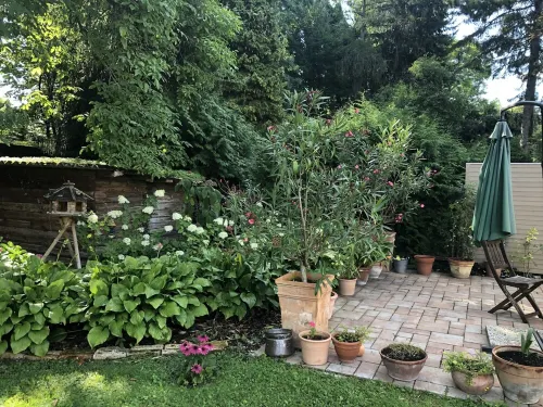 little gem in the countryside but in the town