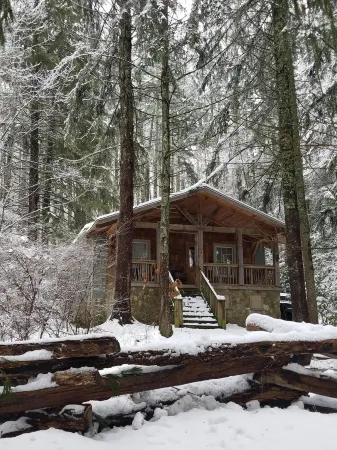 Lake Logan Serenity - Lakeside Cabin, Pets Welcome, Hot Tub, Fishing, Swimming Отели рядом с достопримечательностью «Блу-Ридж-Паркуэй»