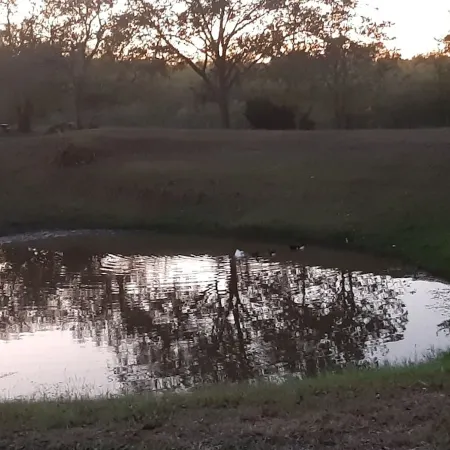 Quiet country cabin just 30 minutes from Austin Airport