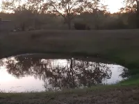 Quiet country cabin just 30 minutes from Austin Airport