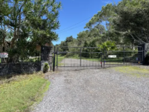 Dragonfly Healing Farm