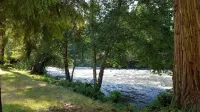Mckenzie River Cabin at The Log Cabin Inn