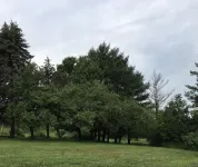 Beautiful 2nd story apartment 10 minutes from 2 state parks.