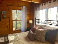 Mountaintop View 1.5 miles from downtown. Hot Tub, WiFi, Fireplace