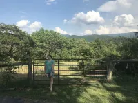 Private 3 bedroom, 2.5 bath home on 2 acres overlooking the Blue Ridge Mountains