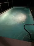 The Palms - 3 miles to the beach - Heated Pool - Sleeps 6