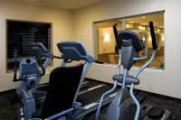 Holiday Inn Express & Suites REGINA-SOUTH by IHG - Gym