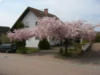 Your accommodation for your stay in the Palatinate Forest Biosphere Reserve