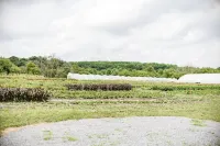 Unique Gardens Cottage · Unique Gardens Cottage - surrounded by flowers Hotels in Chester County