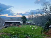 Cozy Cabin: Peaceful Haven in the Heart of Nature Hotels in Yancey County