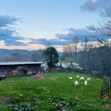 Cozy Cabin: Peaceful Haven in the Heart of Nature