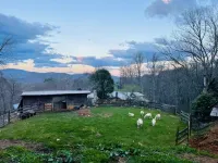 Cozy Cabin: Peaceful Haven in the Heart of Nature