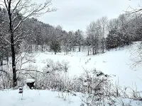 Cozy 1-bedroom loft apartment in lovely Duxbury Hotels in Duxbury