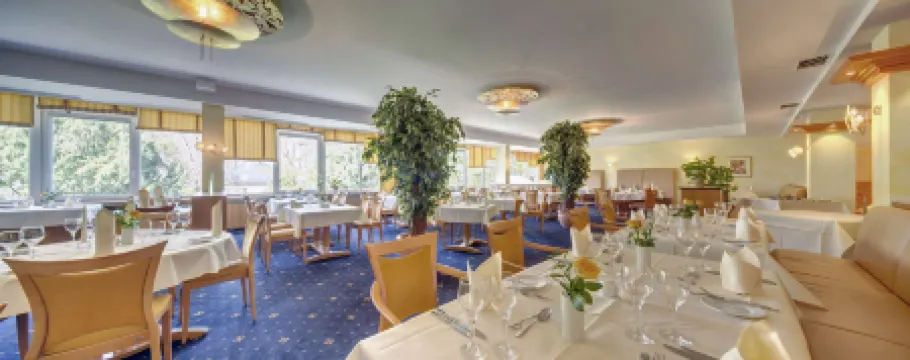 Best Western Plus Hotel Steinsgarten