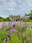 Beautiful apartment within Grade 1 listed Manor House Hotels near South Devon Railway - (Staverton,Station)