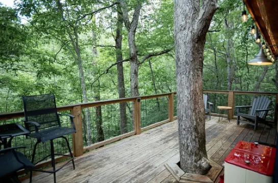 Secret Stash: Secluded Treehouse Overlooking Creek