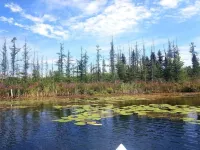 Lucky Bear Lodge. Secluded Cabin in the Woods, Beach Access. Pet Friendly