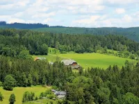 2-room apartment 2-4 persons, directly on the ski slope and hiking trails Hotels in Feldberg