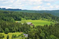 2-room apartment 2-4 persons, directly on the ski slope and hiking trails