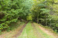 Buffalo Hollow Preserve & Cabin in the Blue Ridge MountainsPet Friendly