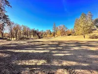 Family and pet friendly cabin near Shaver Lake! Hotels in Auberry