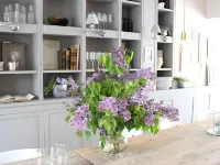 Limehome Berlin Prenzlauer Allee - Digital Access - Homestays