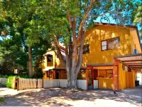 Burwood Bed and Breakfast - Bed and Breakfasts