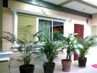 Kacha Resort - Wifi
