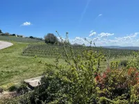 Lovely designer apartment Hotels in Sirolo