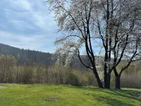 Pure nature - forest vacation in the Tiny House