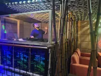 Golden Retreat - bar