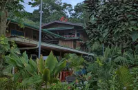 Hotel la Isla Inn