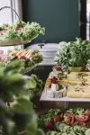 Top Garden Aparthotel - فطور