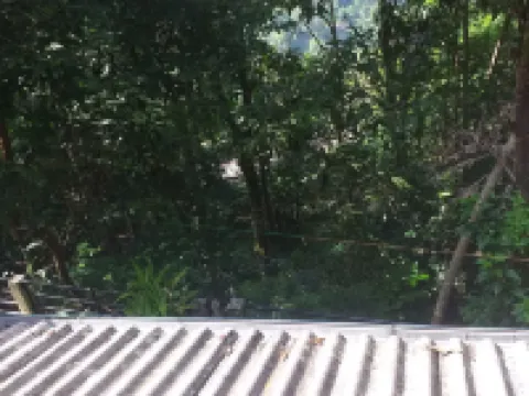 エラ ネイチャー ネスト エッラのホテル