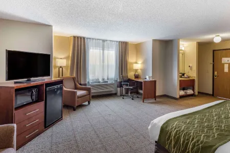 Comfort Inn Denver West Arvada Station