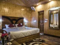 Mountain View Resort Hotels in Chail