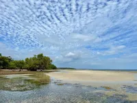 Room in Guest Room - Dolphin Suite 40 m2 in Villa 560 m2, Indian Ocean View فنادق في Shimoni