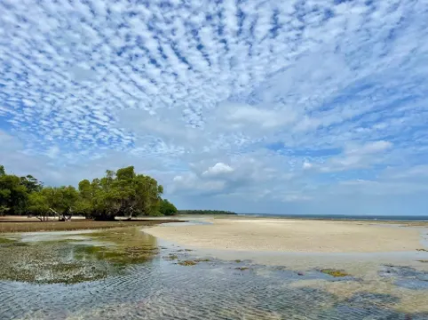 Room in Guest Room - 38m2 Turtle Suite in a 560 m2 Villa, Indian Ocean View
