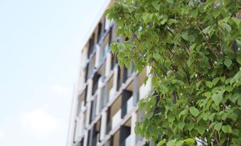 Apartments Royal - Sakura Park