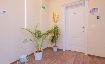 Attico di Via d'Azeglio