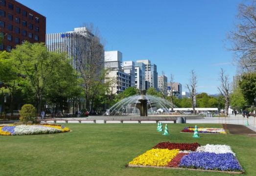 코지 & 컨비니언트 로열 하이츠