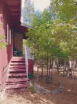 Cozy Cottage Cabin with Wood Burning Fireplace - Pet Friendly! Charming Updates! Hotels near Mountain Monster