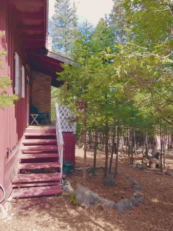 Cozy Cottage Cabin with Wood Burning Fireplace - Pet Friendly! Charming Updates!