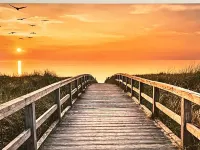 Ocean Access and Limo Golf Cart - Stunning Coastal Escape